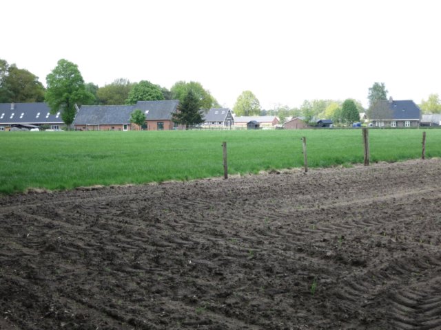 HWK Wekerom100.jpg